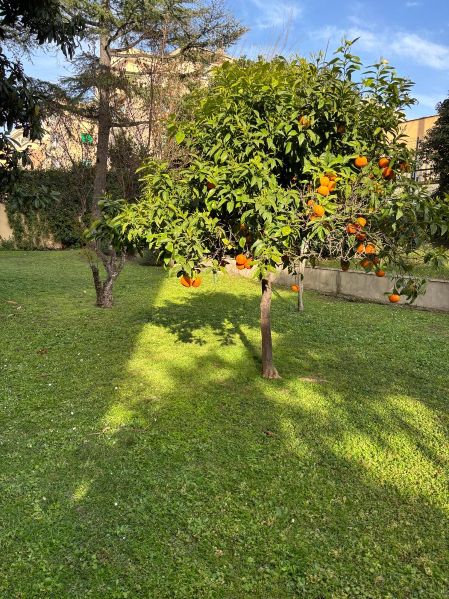 Grelly'S House - Holiday In Rome - 50 Meters From The Metro Eksteriør billede